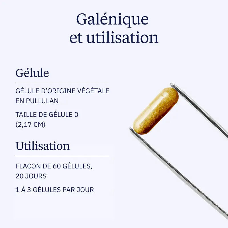 maitake galenique