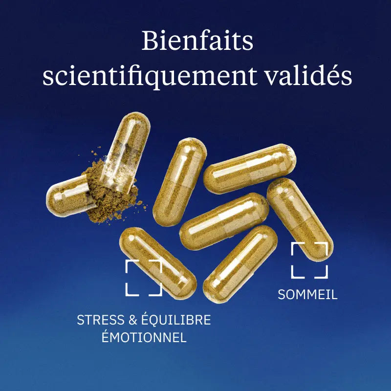 melisse bienfaits