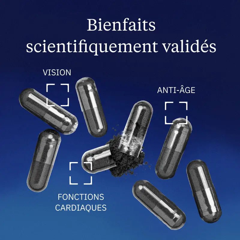 myrtille bienfaits