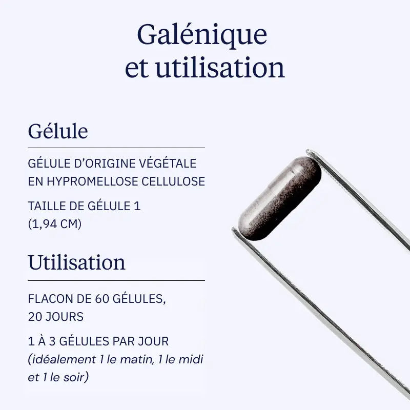 myrtille galenique