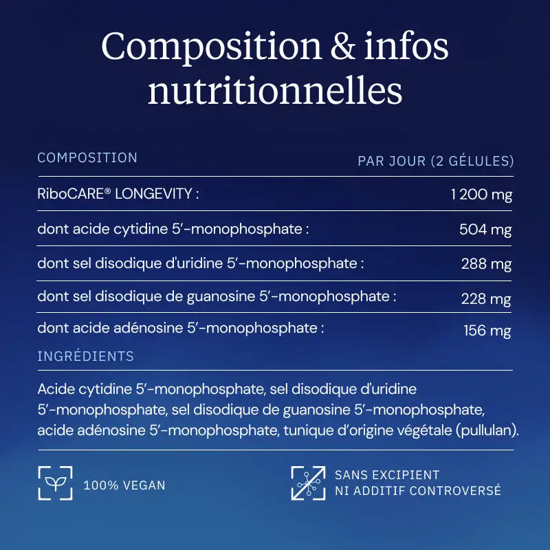 nucléotides composition