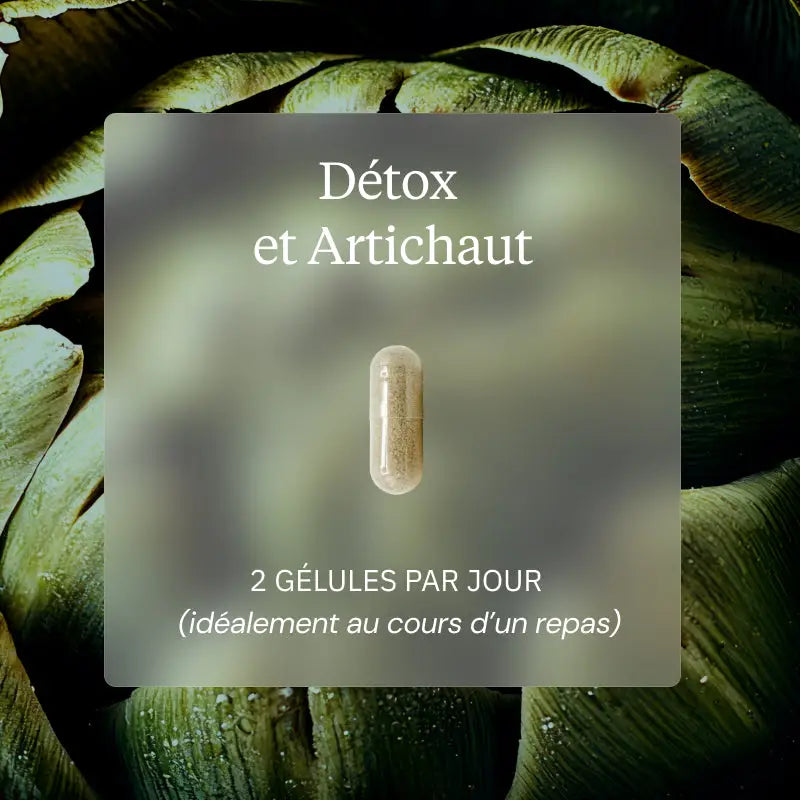 pack detox artichaut