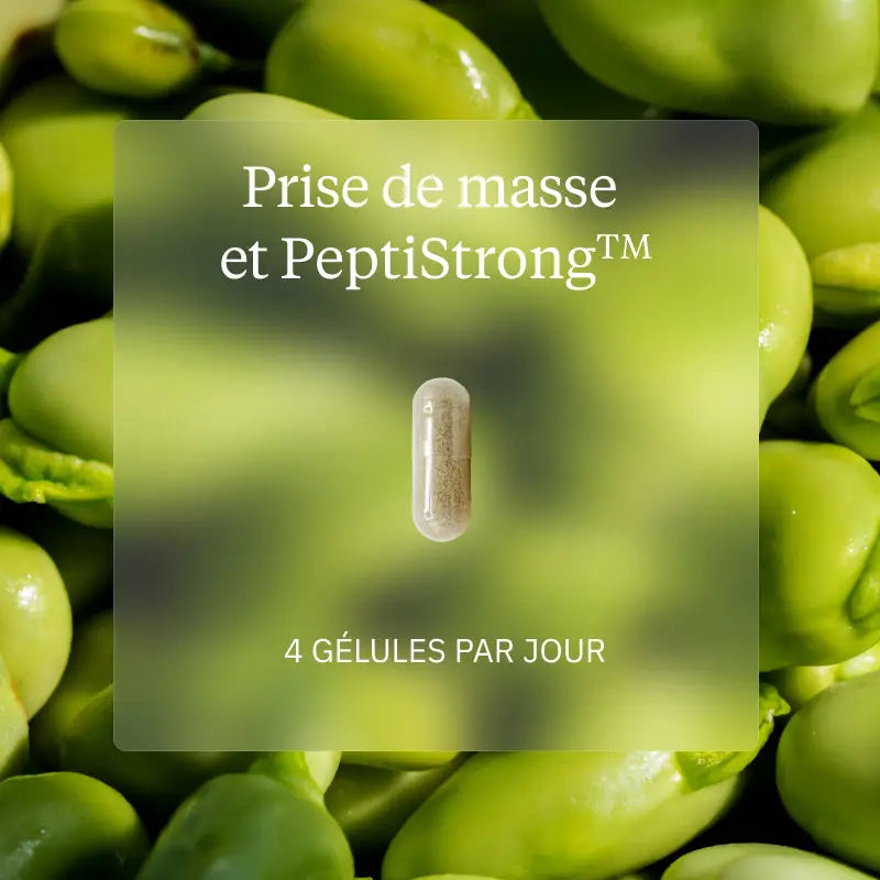 pack prisedemasse peptistrong