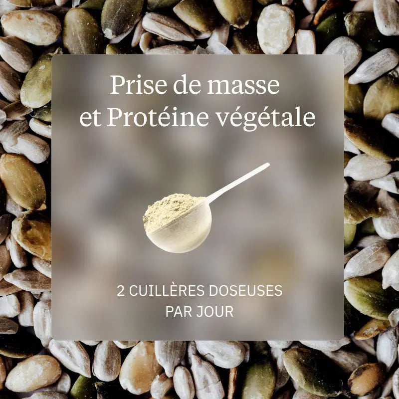 pack prisedemasse proteine vegetale