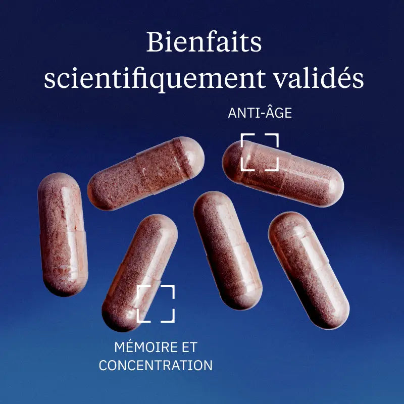 pqq bienfaits