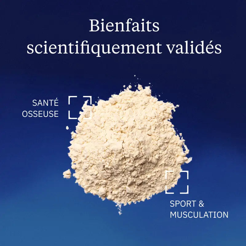 proteine vegetale bienfaits