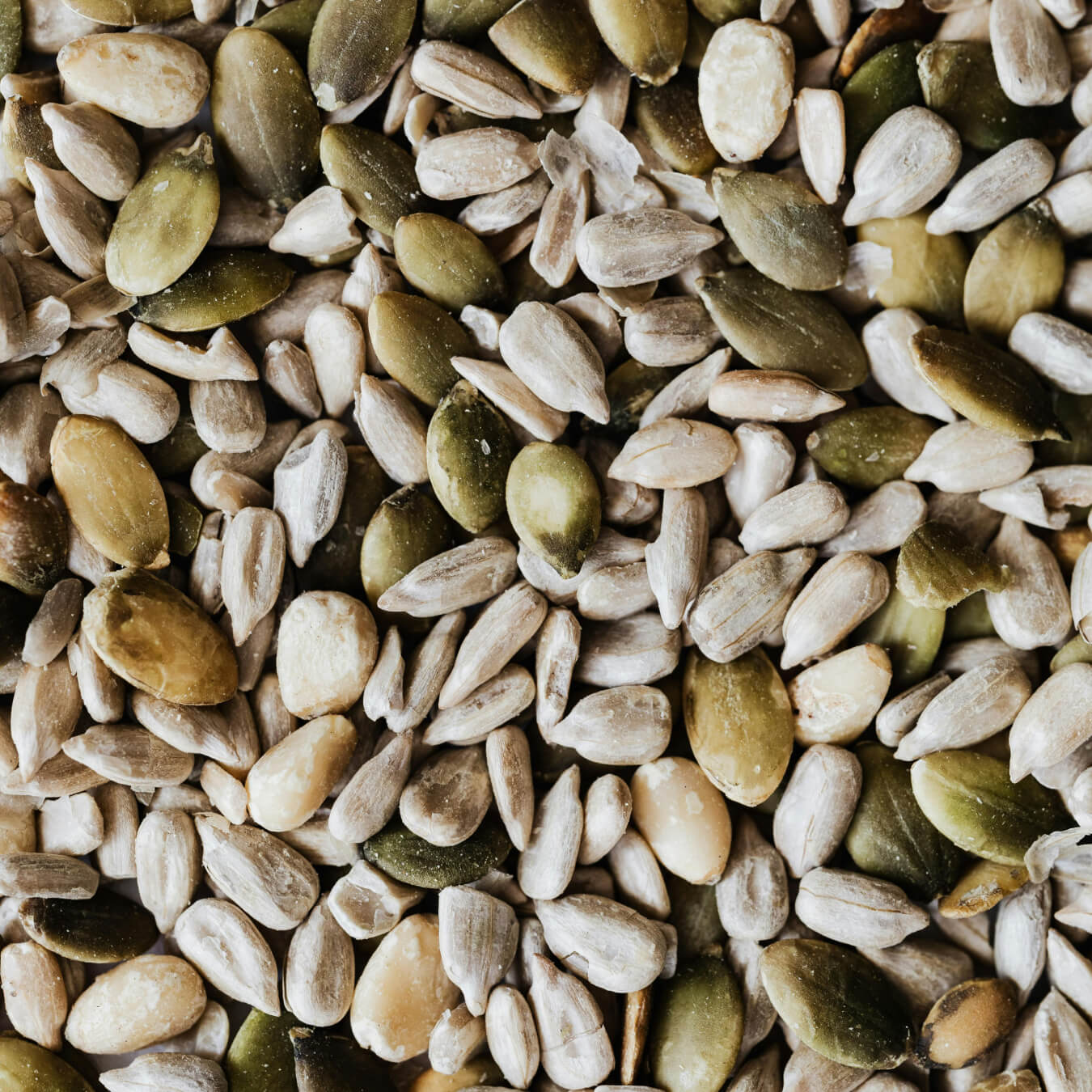 proteine vegetale image ingredient