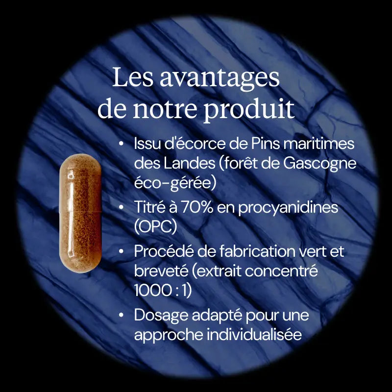 pycnogenol avantages