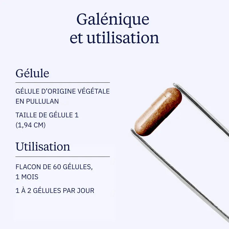 pycnogenol galenique