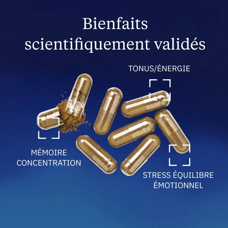 rhodiola rosea bienfaits