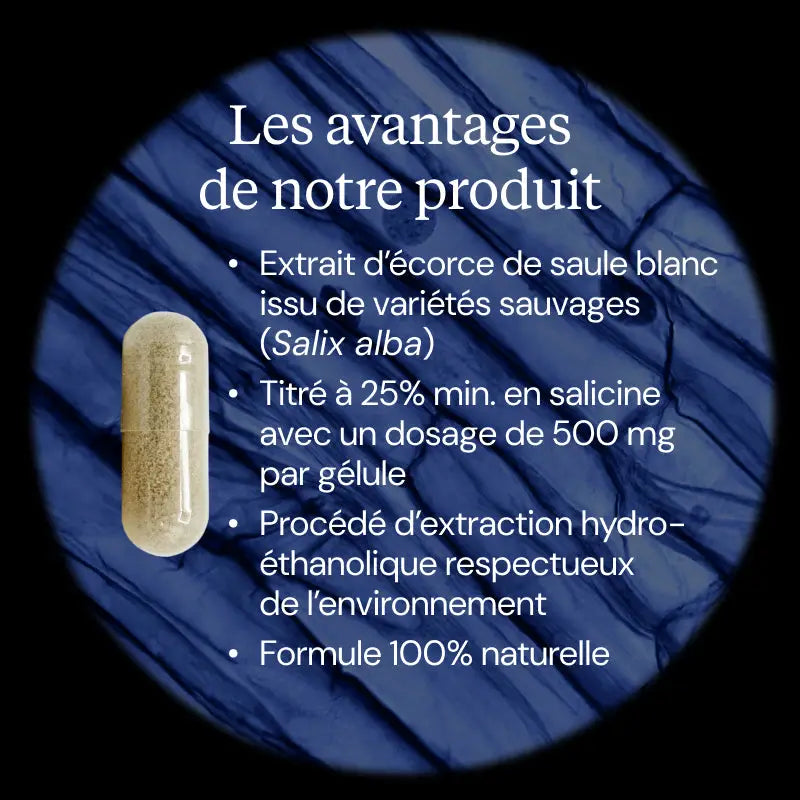 saule blanc avantages