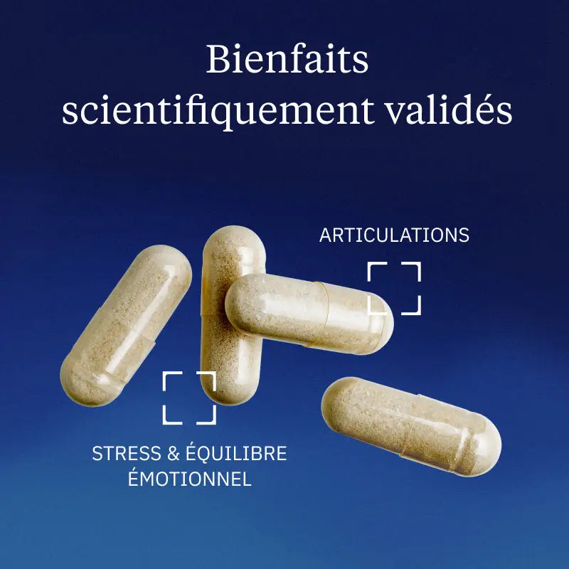 saule blanc bienfaits