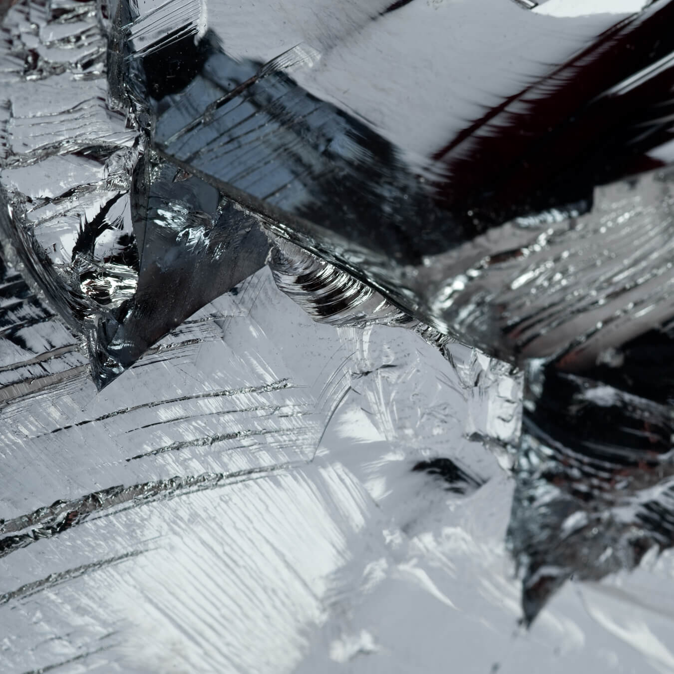 silicium image ingredient