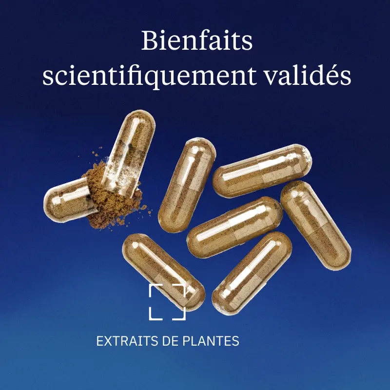 sulforaphane bienfaits
