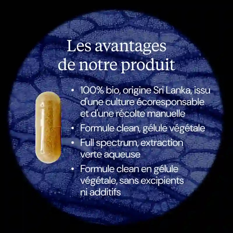 the vert avantages