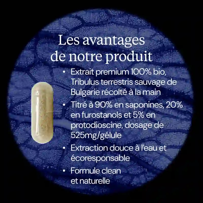 tribulus avantages