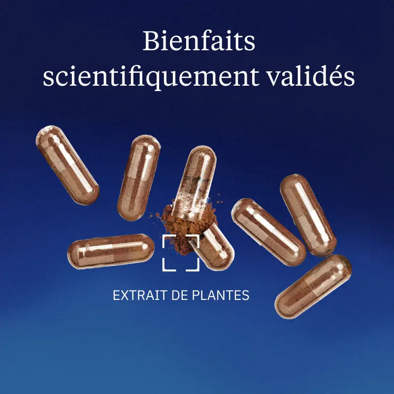 urucum bienfaits