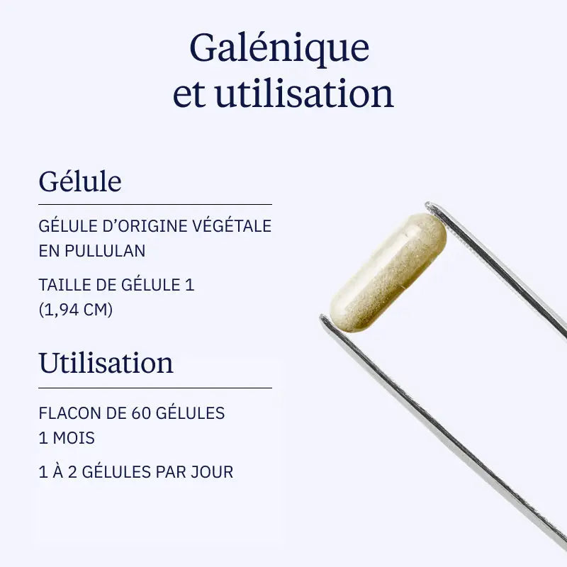 vitamine b6 galenique