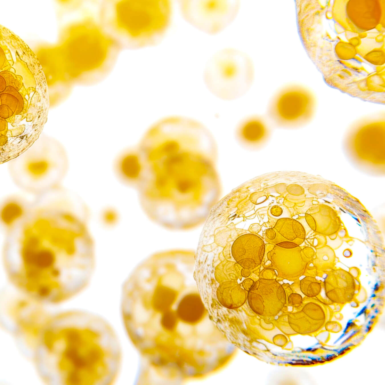 vitamine c image ingredient
