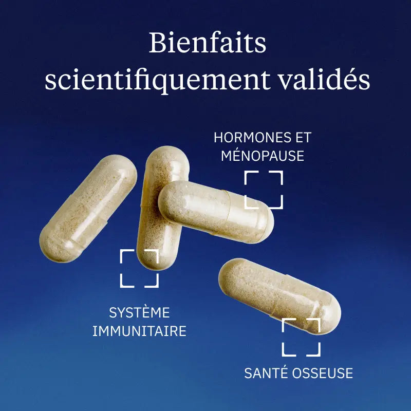 vitamine d3 k2 mk7 bienfaits