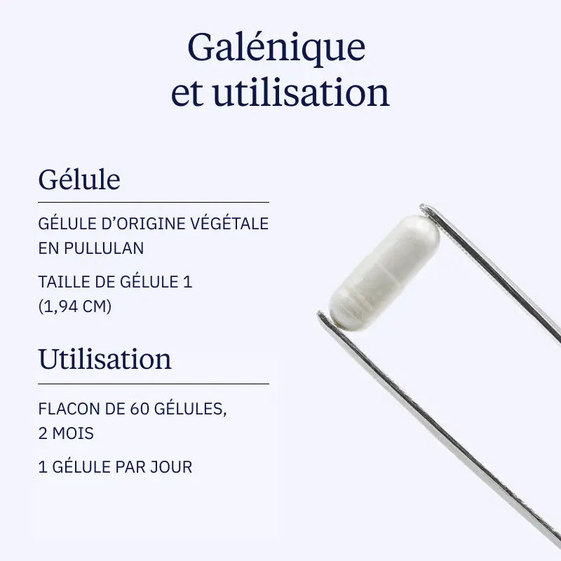 zinc galenique